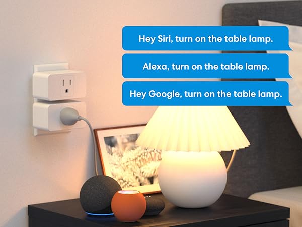 Voice Control