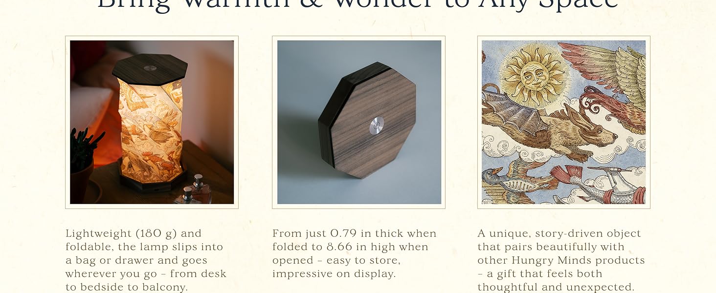 bring warmth and wonder to any space