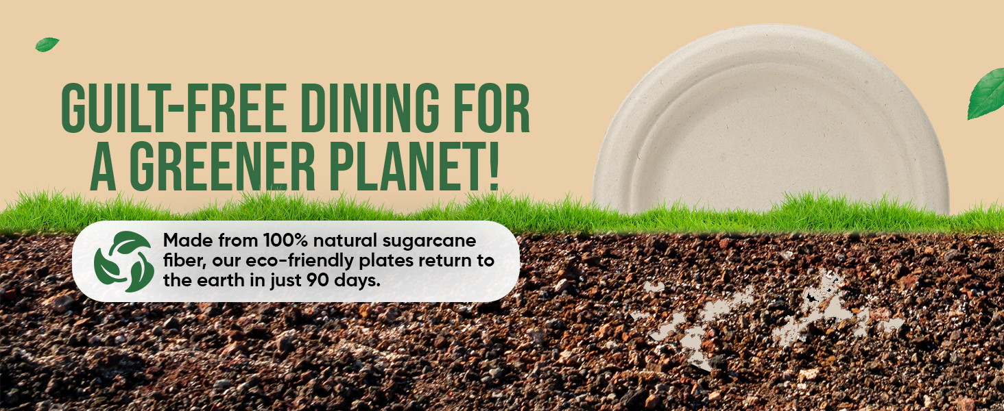 DISPOSABLE SUGARCANE PULP PAPER PLATES