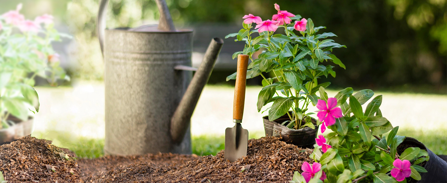 Succulent Tools Set Meet Your Various Needs For Plant Growing