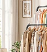 Delamu Clothes Rack Double Rods Clothing Racks for Hanging Clothes with Rolling Wheels, Metal Gar...
