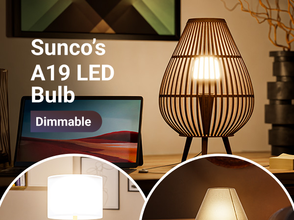Sunco's A19 LED Bulbs Dimmable