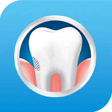 Sensodyne Fresh Mint