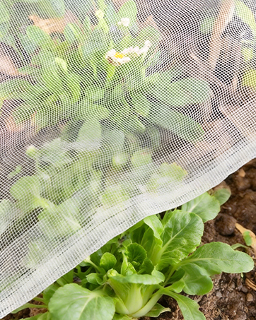 Fine Bug Netting for Garden Protection