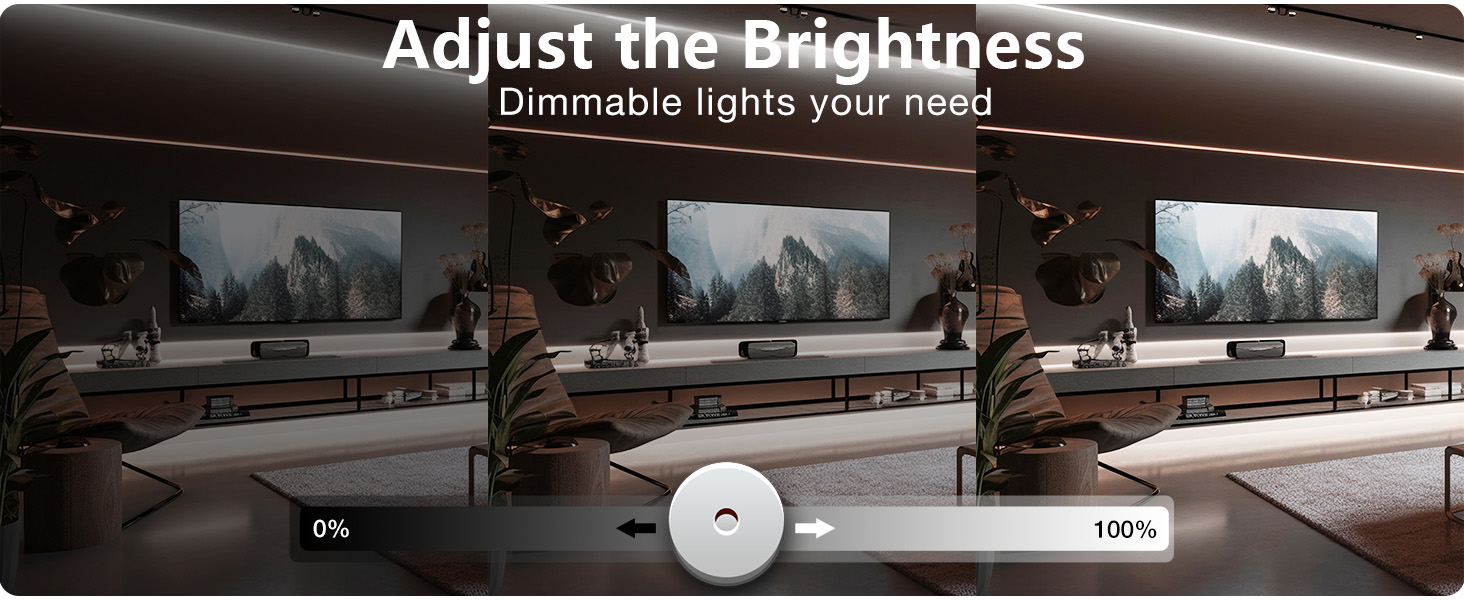 White LED Lights