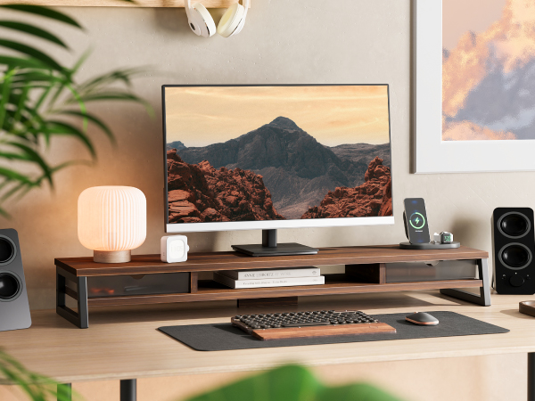 Home Office Stand