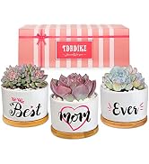 TDHDIKE Mom Birthday Gifts Best Mom Ever Gifts for Mothers Day, Birthday, Christmas. Unique Succu...