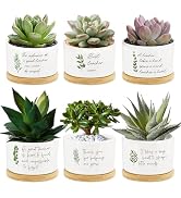 Tarklanda 6Pcs Teacher Appreciation Gifts Succulent Pots Mini Ceramic Plant Pots with Bamboo Tray...