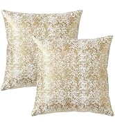 Q&J FABRIC CO. 2 Pack Velvet Throw Pillow Covers 18x18'', Luxury Dutch Fleece Soft Square Cushion...