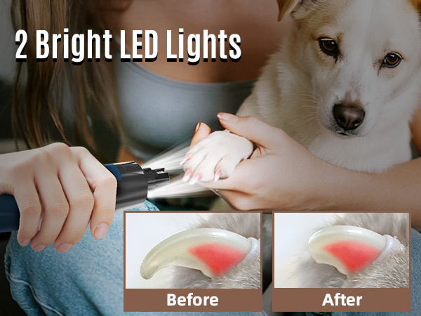 2 LED Lights