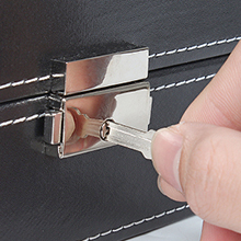 watch case