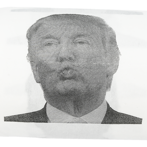 Fairly Odd Novelties Donald Trump Novelty Political Humor Funny Toilet Paper Gag Gift