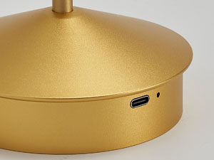 Type-C Charger Port