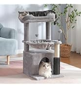 Pawfessor 5 in 1 Cat Tree 32 Inches Cat Tower with Self Groomer,15.7â??Large Hammock, Fully Scratch...