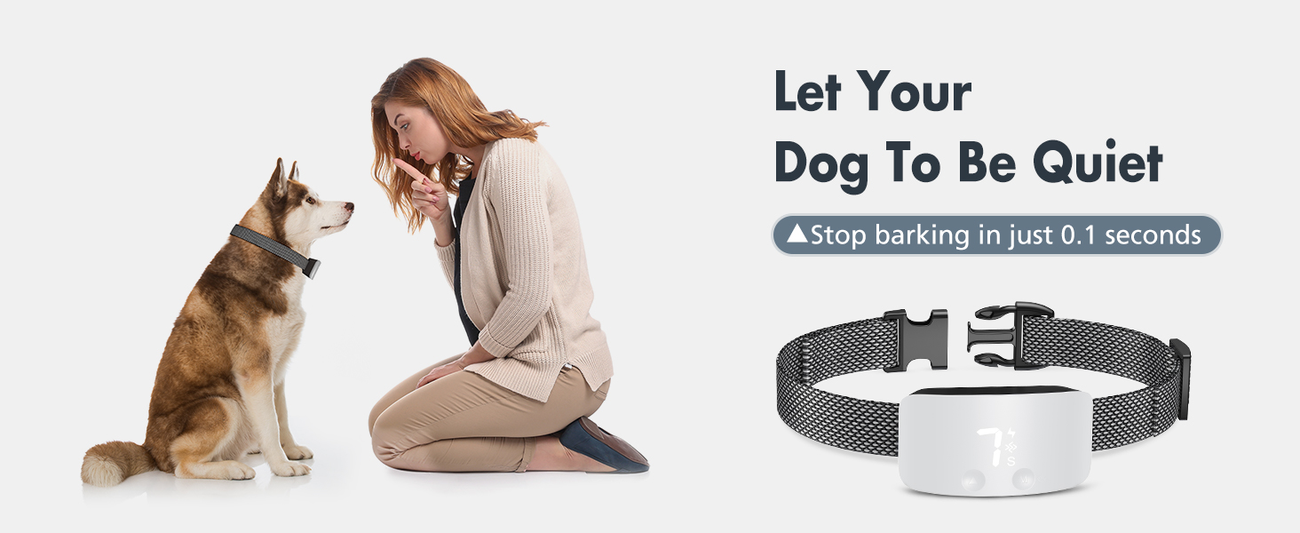 bark collar