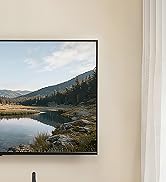Projector Mount Shelf