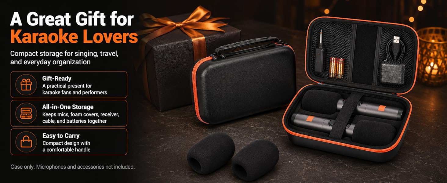 mic case for 2