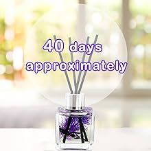 reed diffuser