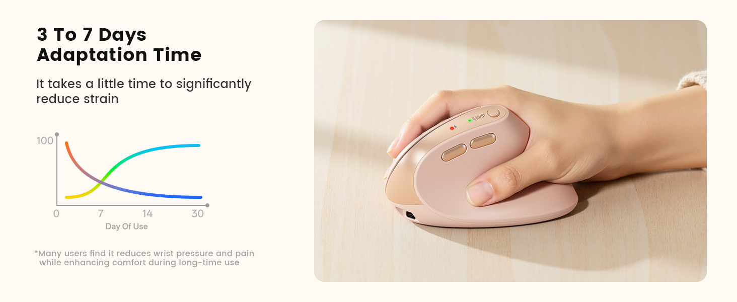 computer mouse