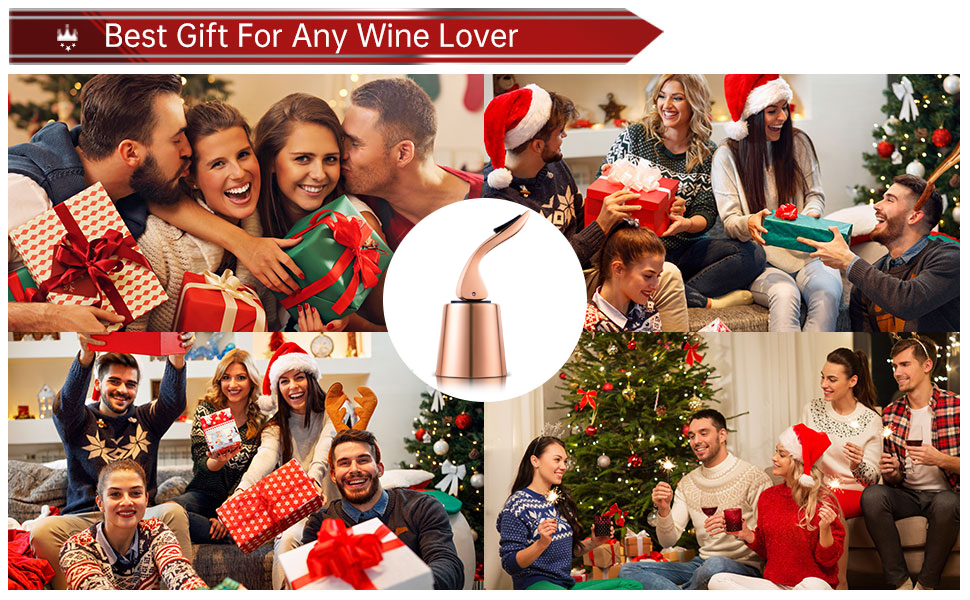ERHIRY Wine Bottle Stopper Stainless Steel, best gift ideal for wine lovers