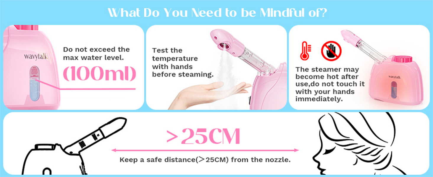 face steamer