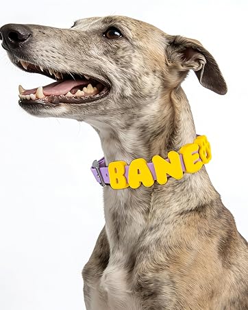 dog charms