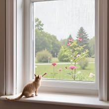 Pet-friendly