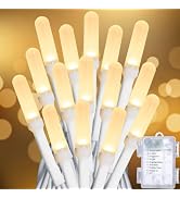 ZELUXDOT Mini String Lights Battery Operated,33FT 100 LEDs Waterproof Fairy Lights,8 Modes Twinkl...