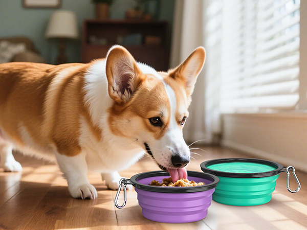 collapsible dog bowls