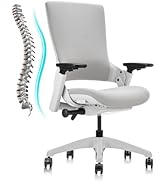 CLATINA Office Chair Swivel Executive Chair, Adjustable Ergonomic Computer Chair with 3D Armrest ...