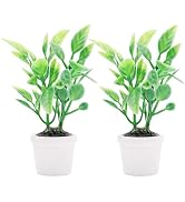 2Pcs Green Miniature Plants Dollhouse Decoration Accessories, Mini Potted Plant Artificial Tiny G...