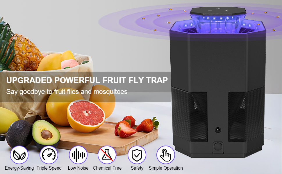 fruit fly traps for indoors