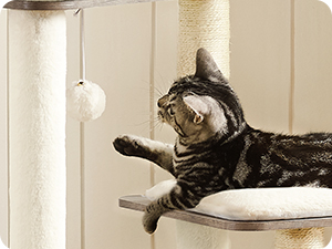 Tabby cat lying on a white surface, reaching out with one paw towards a hanging string or toy just out of frame. The cat appears alert and playful.