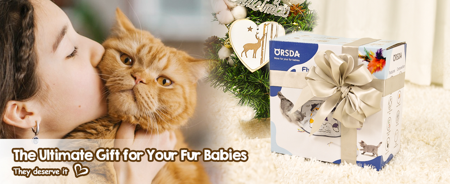 Best gift for cat