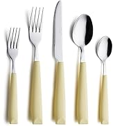 ANNOVA 20PCS Flatware Set Stainless Steel Silverware/Cutlery Set With Colored Handles Comfortable...