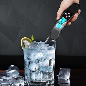 Digital Talking Thermometer