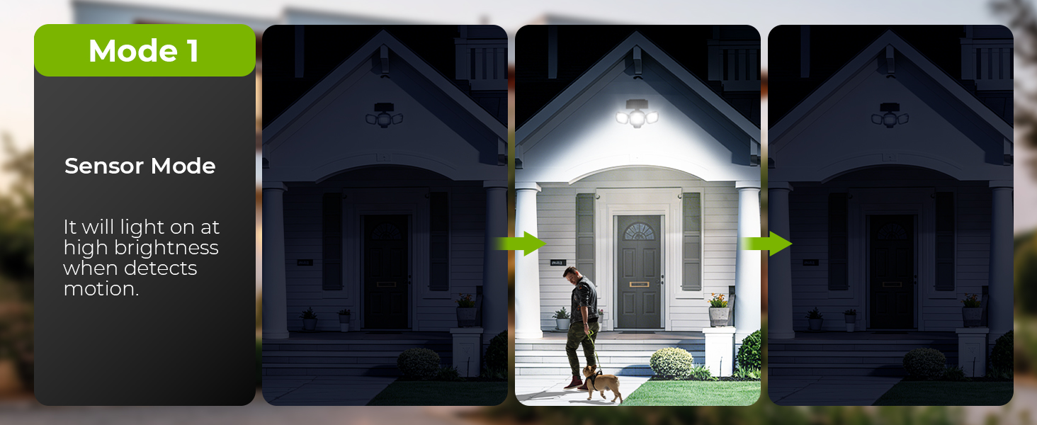 solar motion sensor light