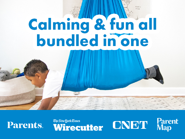 Blue Sensory Swing