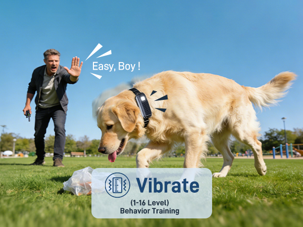 Vibrate