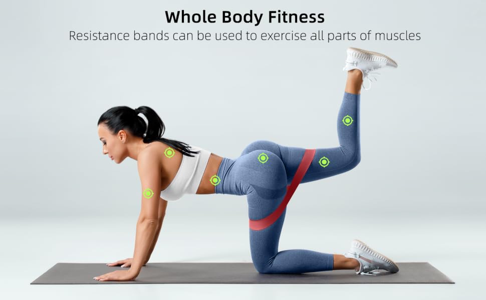 Whole Body Fitness