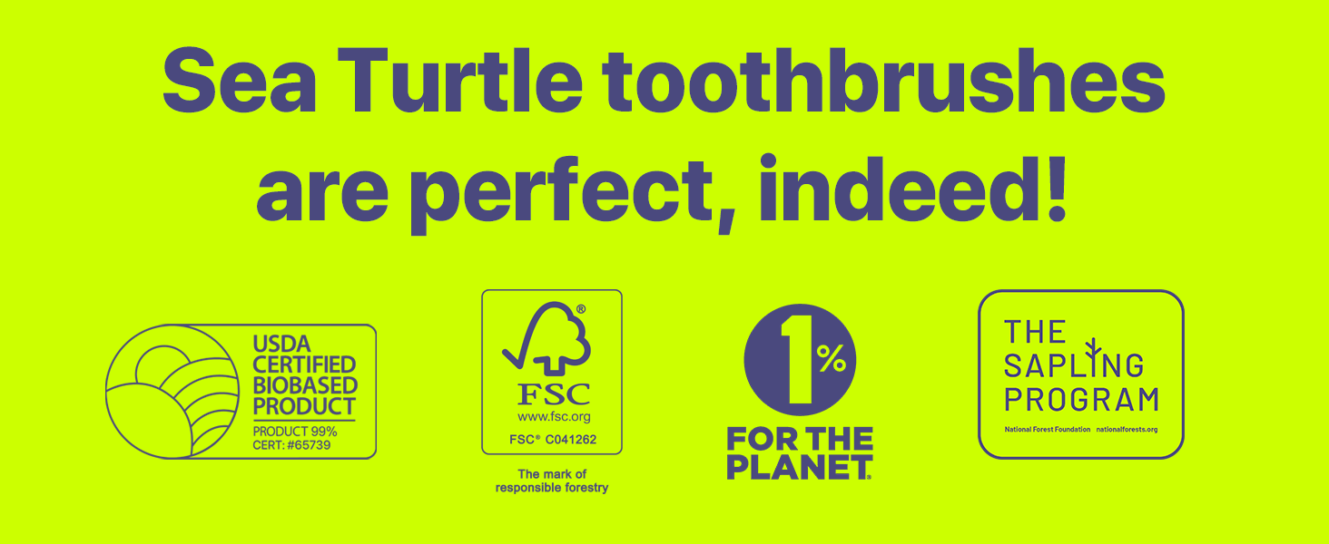 Perfect Toothbrush