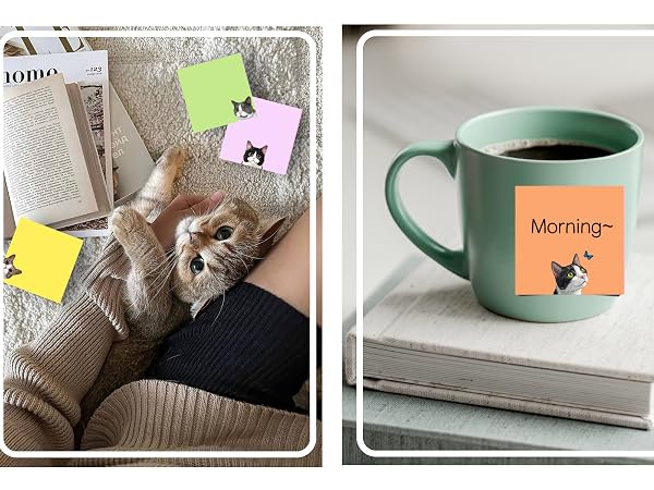 gift for cat lovers