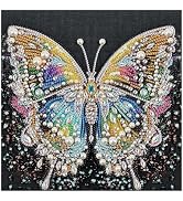 DIADAY Butterfly Diamond Painting Kit, Special Shape Diamond Art 12x12 Inch | 5D Crystal Rhinesto...