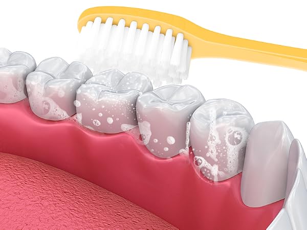 Soft-bristle toothbrush gently cleans teeth, removing plaque and keeping your smile fresh.