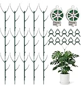 15 Packs Stackable Monstera Plant Support, 11 inch Plant Stakes with 131ft Garden Twist Tie & 10 ...
