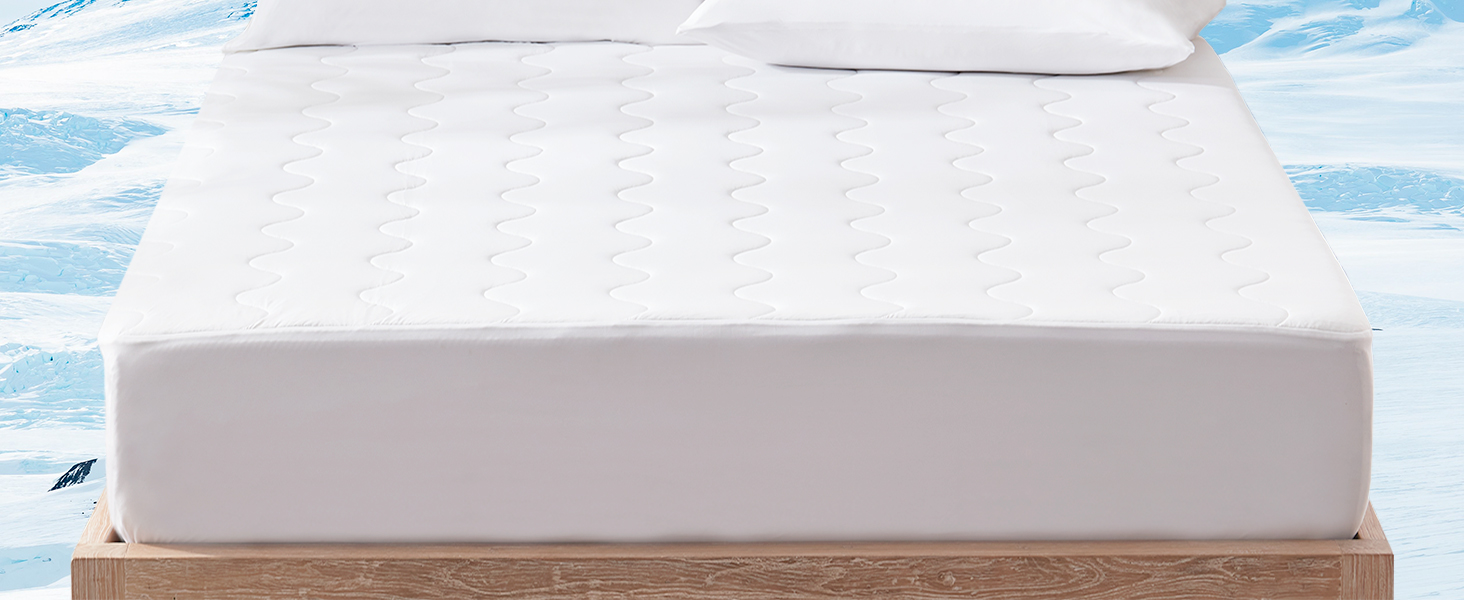 Mattress Protector