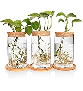 ANOITON Home Decor Plant Propagation Glass Terrarium Set - Birthday Gifts for Women Gardening Gif...