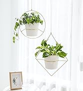 hanging planters