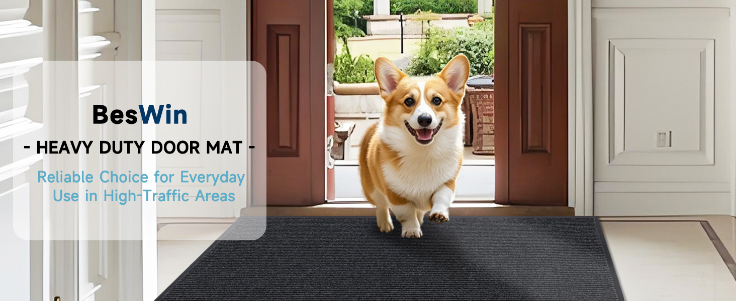 Indoor Outdoor Door Mat