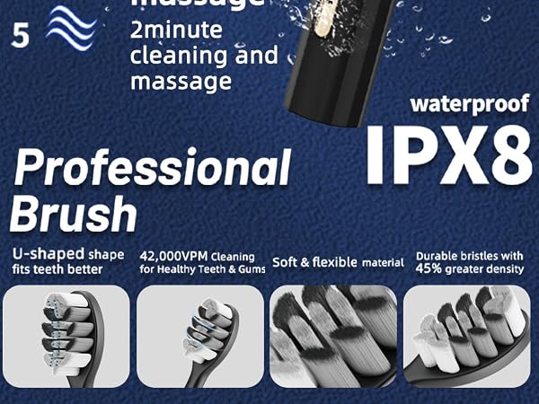 Professional Brush